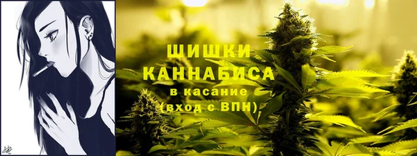 твердый Козельск